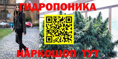стаф Краснознаменск