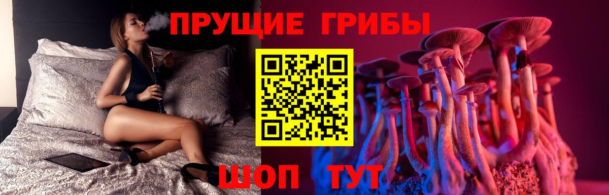 Барабинск  Галлюциногенные грибы Psilocybine cubensis  Вход с VPN 